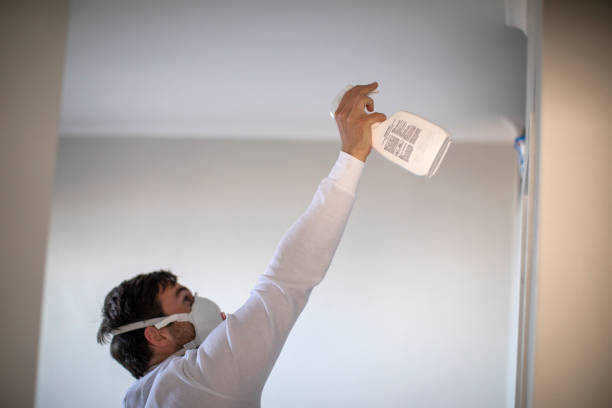 Best Local Mold Removal Service  in Duchesne, UT