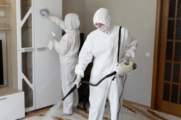 Office Mold Removal Services in Duchesne, UT