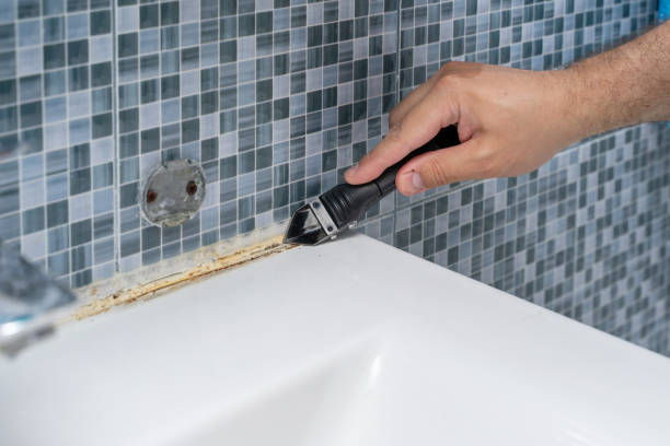 Best Toxic Mold Removal  in Duchesne, UT