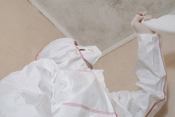 Mold Testing and Removal in Duchesne, UT